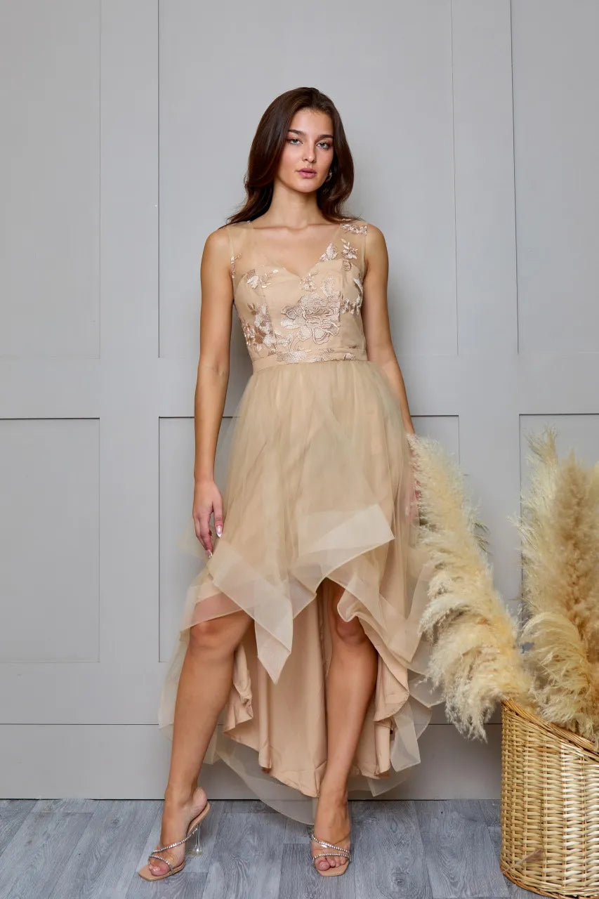 Elegant Fit-and-Flare V-Neck Sleeveless Zip Back High-Low Evening Dresses