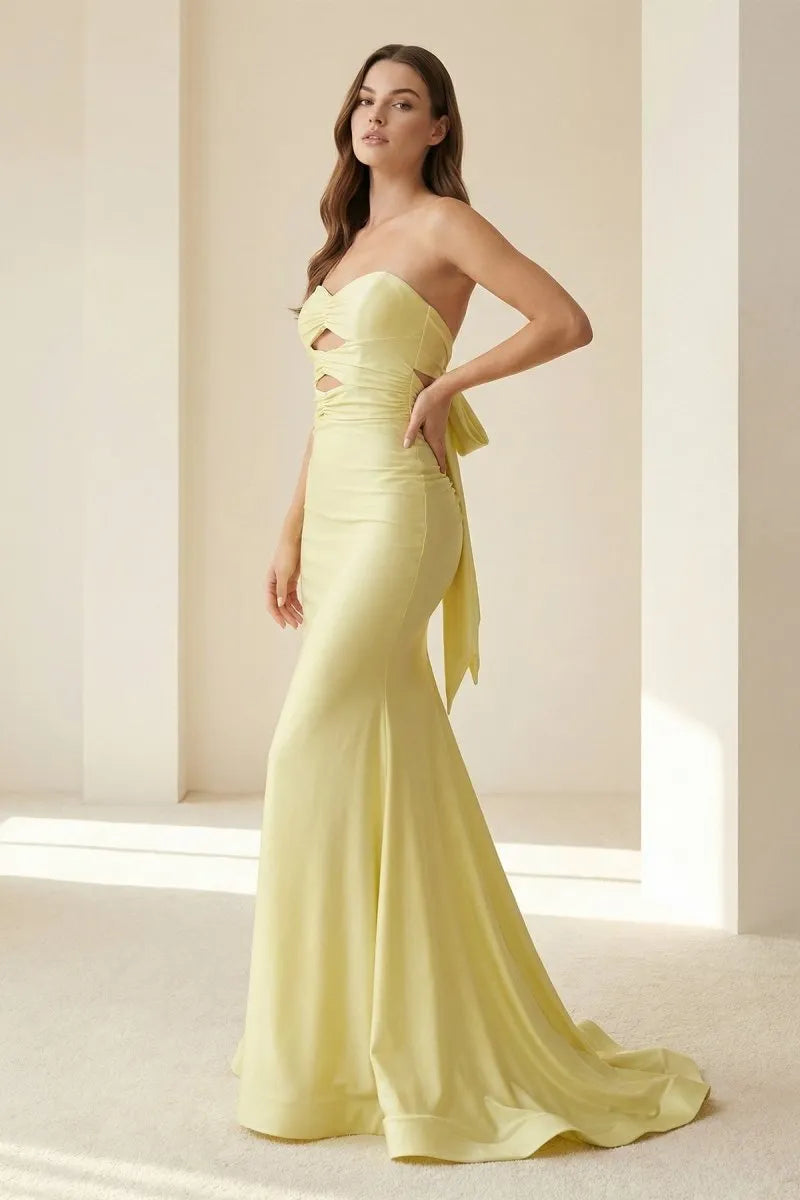 Elegant Mermaid Strapless Sleeveless Bow-Back Floor-Length Prom Dress