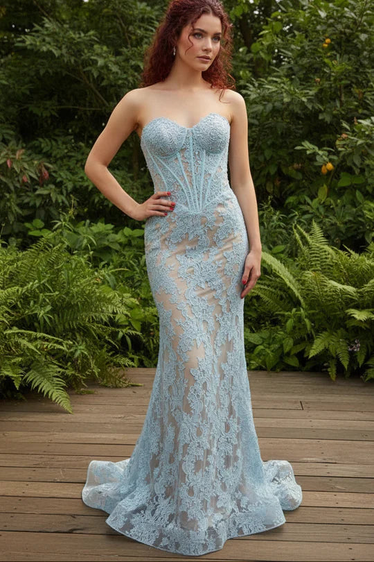 Sheer Lace Mermaid Sweetheart Neck Strapless Open Back Train Length Prom Dress